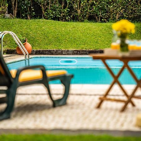 Casa Do Pinheiro With Shared Swimming Pool Villa São Vicente Ferreira Eksteriør bilde