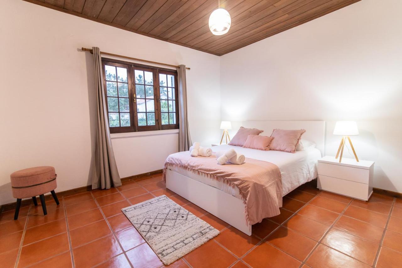 Casa Do Pinheiro With Shared Swimming Pool Villa São Vicente Ferreira Eksteriør bilde