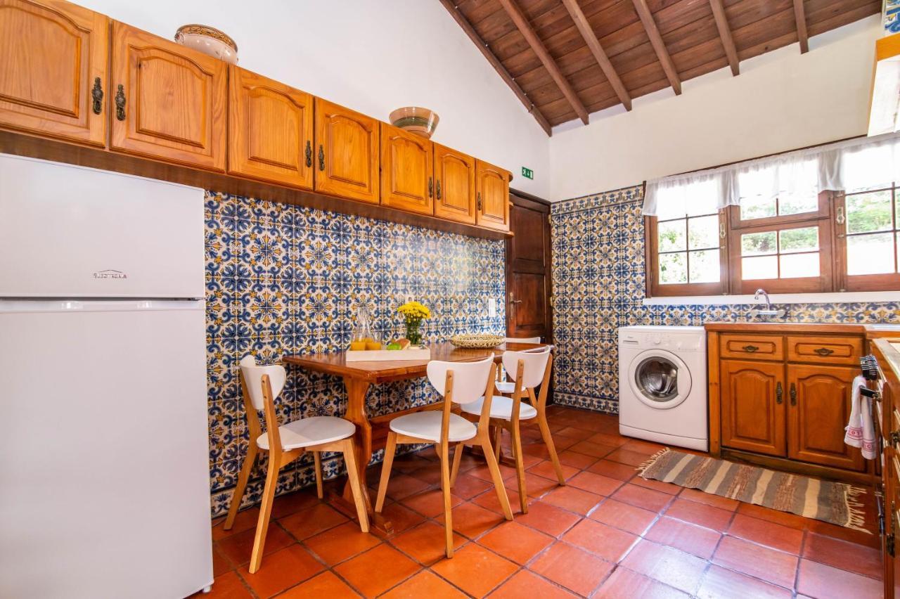 Casa Do Pinheiro With Shared Swimming Pool Villa São Vicente Ferreira Eksteriør bilde