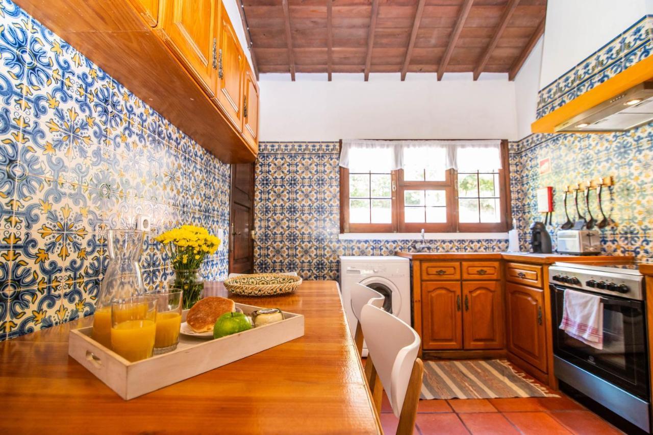 Casa Do Pinheiro With Shared Swimming Pool Villa São Vicente Ferreira Eksteriør bilde