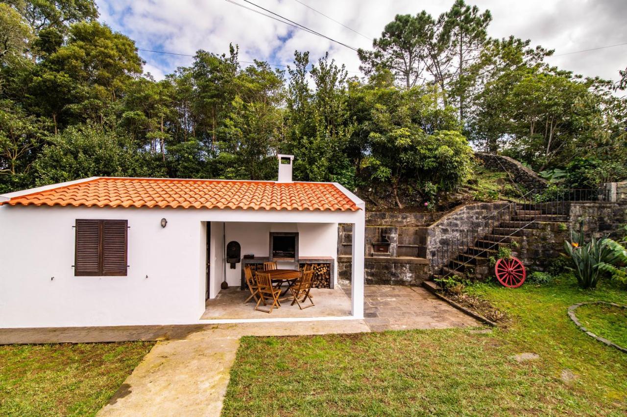 Casa Do Pinheiro With Shared Swimming Pool Villa São Vicente Ferreira Eksteriør bilde